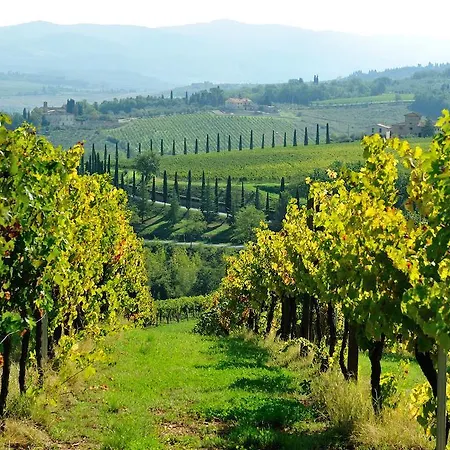 Castello Di Gabbiano *