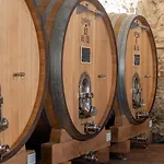 Фермерский дом Castello Di Gabbiano