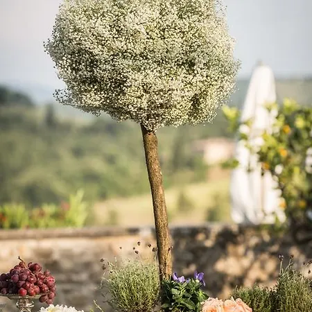 Castello Di Gabbiano *