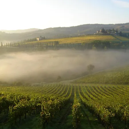 Çiftlik konaklama Castello Di Gabbiano