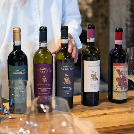 Castello Di Gabbiano Çiftlik konaklama *