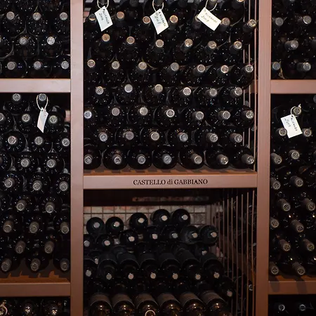 Castello Di Gabbiano Çiftlik konaklama Mercatale Val Di Pesa