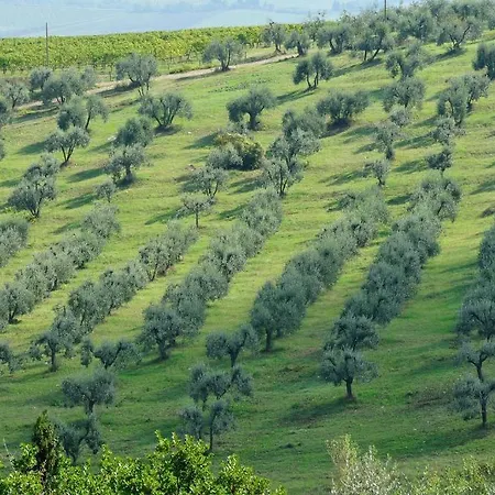 Castello Di Gabbiano Farm stay